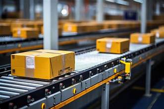 Professional Moving Service